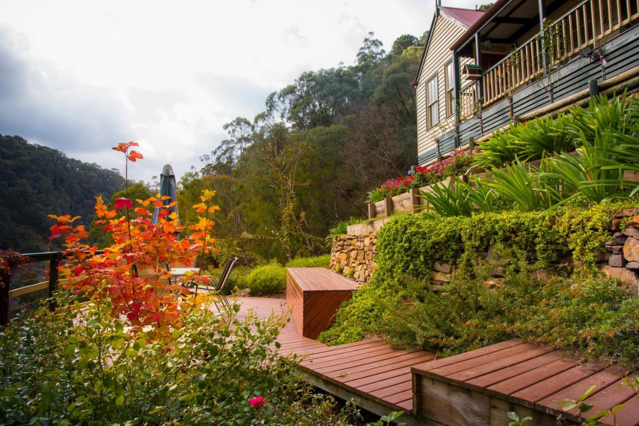 Walhalla Wild Cherry ภายนอก รูปภาพ
