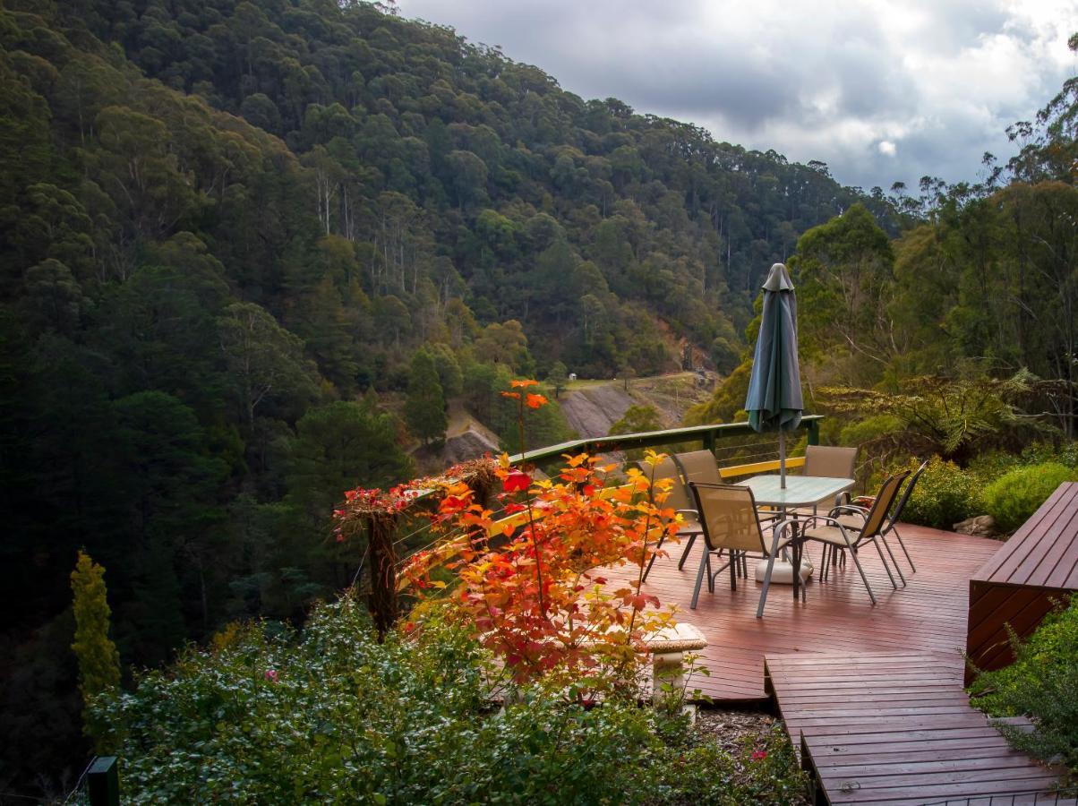 Walhalla Wild Cherry ภายนอก รูปภาพ